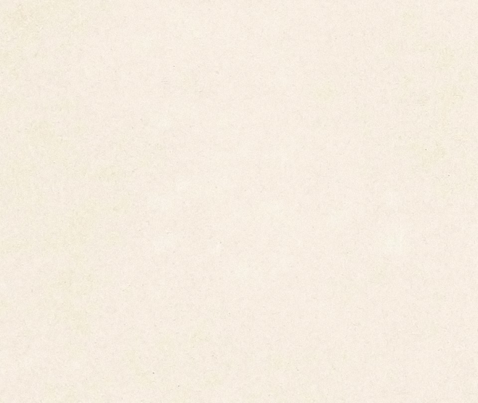 Hydra Beige - Detaliu