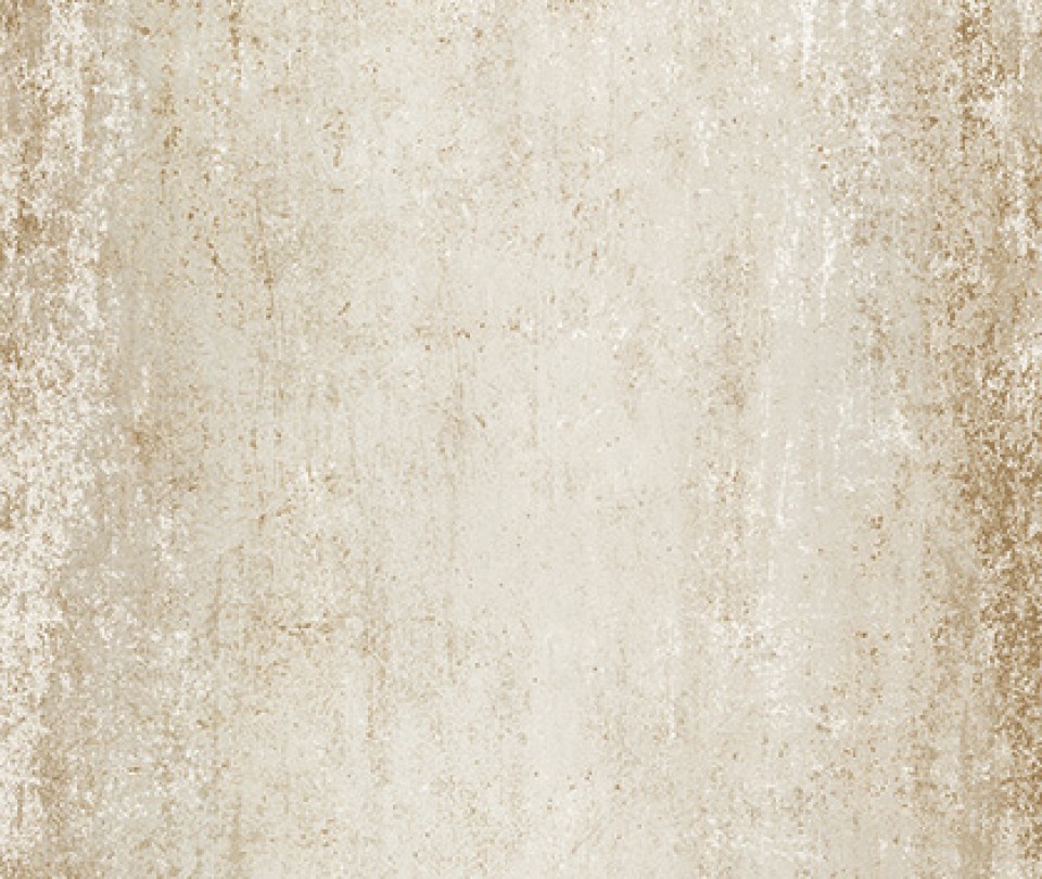 Steel White